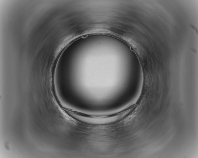 X0000097291430200802151404