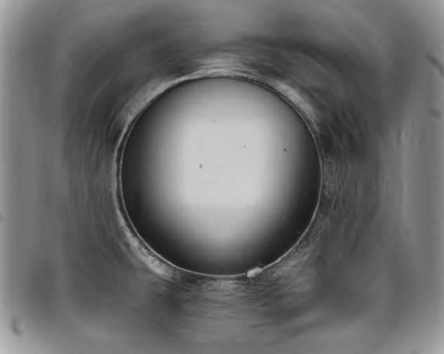X0000097291431200802151404