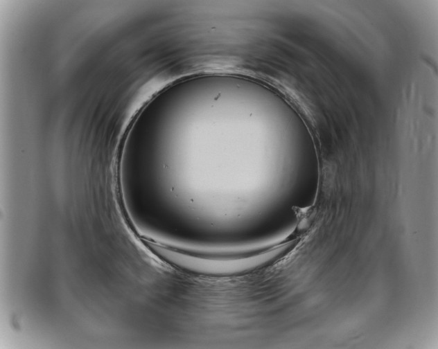 X0000097291432200802151404