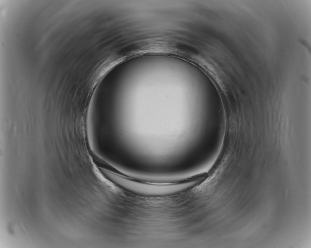 X0000097291433200802151404