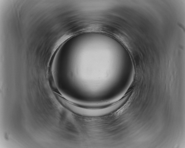 X0000097291434200802151404