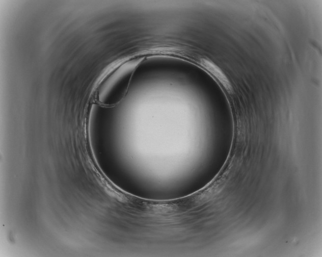 X0000097291436200802151404