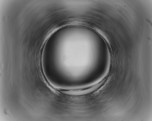 X0000097291437200802151404