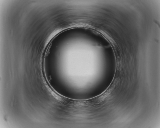 X0000097291438200802151404