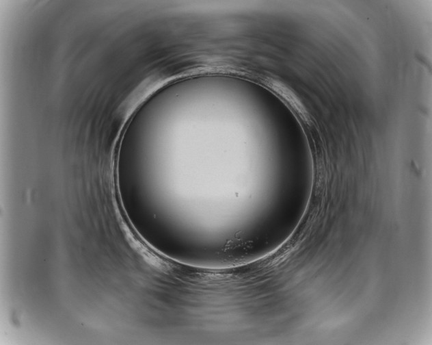 X0000097291439200802151404