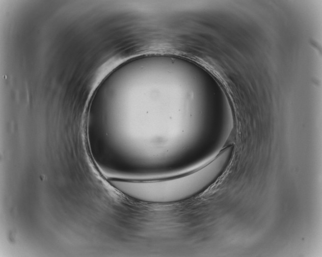 X0000097291440200802151404