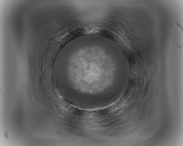 X0000097291441200802151404