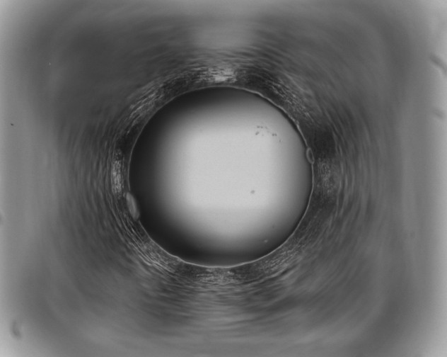 X0000097291442200802151404