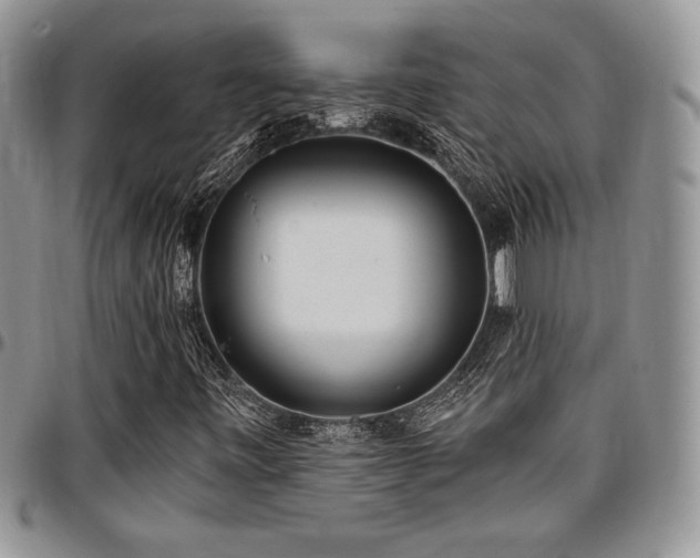 X0000097291443200802151404
