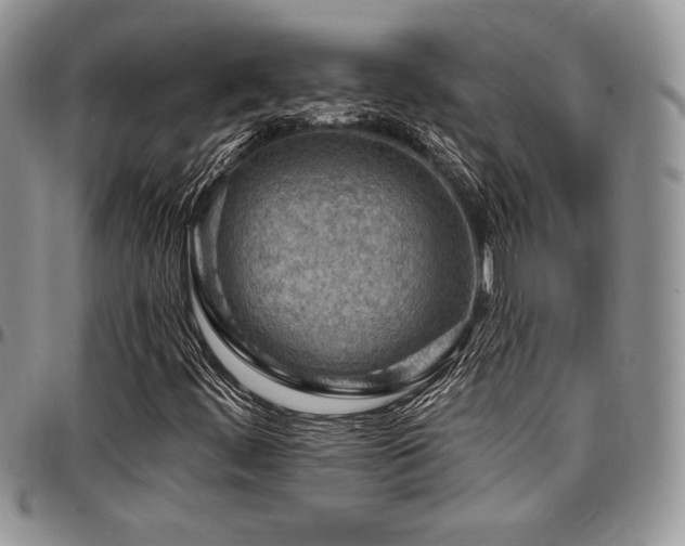 X0000097291444200802151404