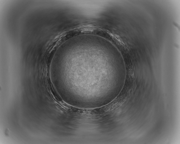 X0000097291445200802151404
