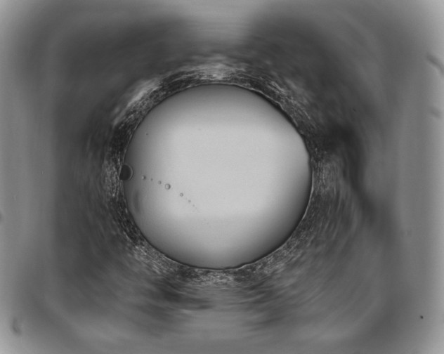 X0000097291446200802151404