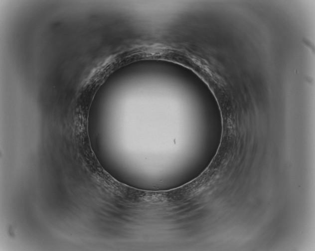 X0000097291447200802151404