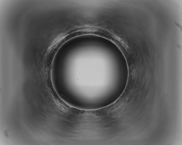 X0000097291448200802151404