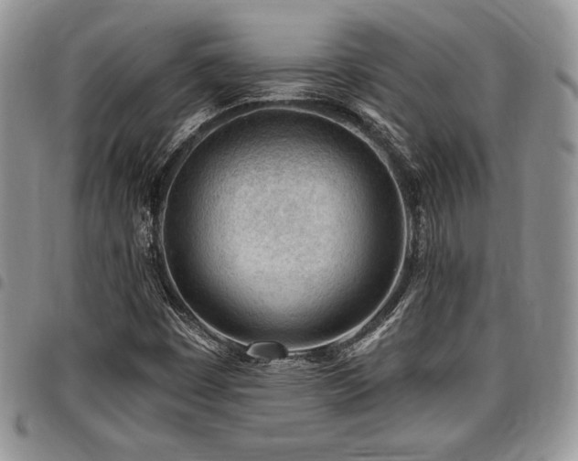 X0000097291449200802151404