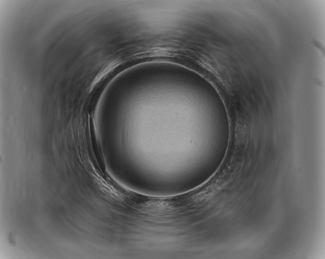 X0000097291450200802151404