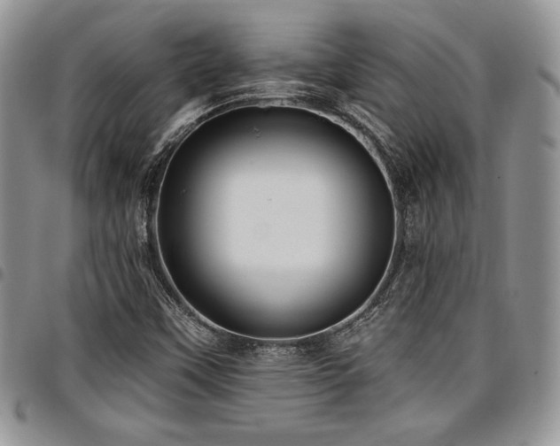 X0000097291451200802151403