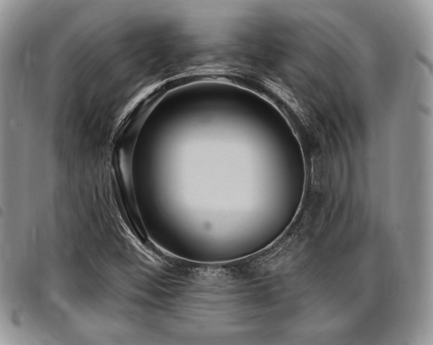 X0000097291452200802151403