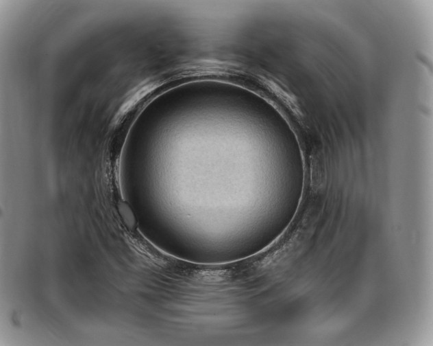 X0000097291453200802151403