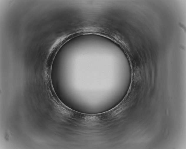 X0000097291454200802151403