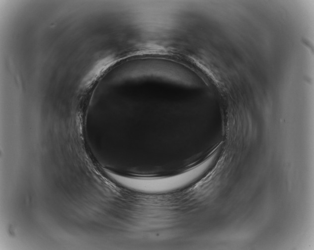 X0000097291455200802151403