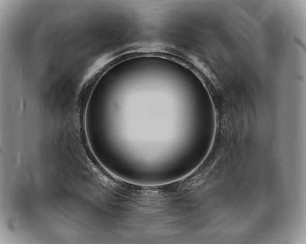 X0000097291456200802151403