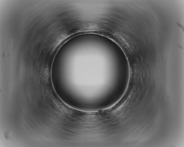 X0000097291457200802151403