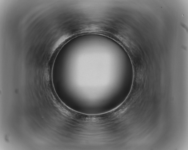 X0000097291458200802151403
