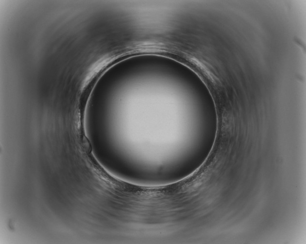 X0000097291461200802151403