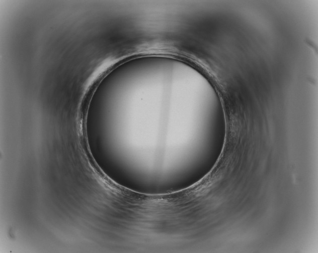 X0000097291462200802151403