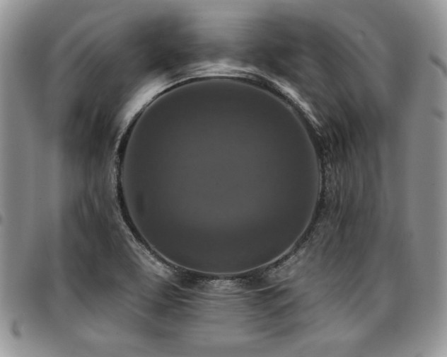 X0000097291463200802151403