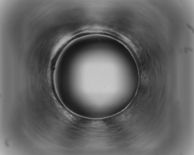 X0000097291464200802151403