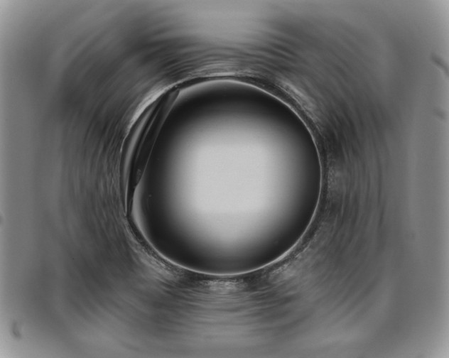 X0000097291465200802151403