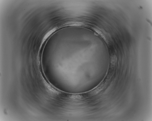 X0000097291466200802151403