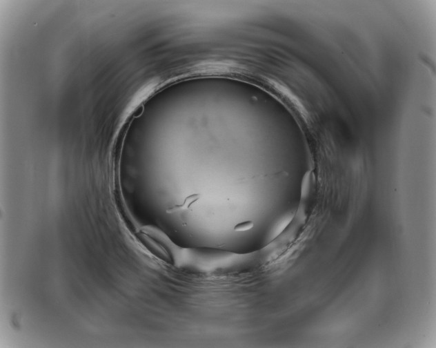 X0000097291467200802151403