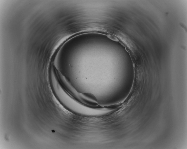 X0000097291468200802151403