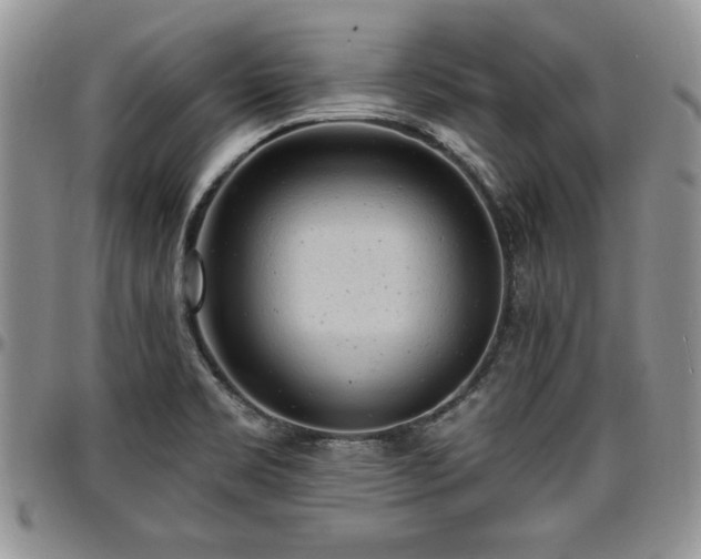 X0000097291469200802151403