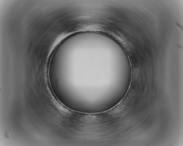 X0000097291470200802151403