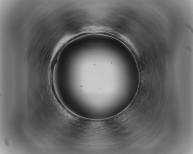 X0000097291472200802151403