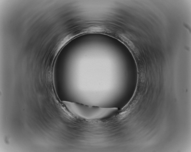 X0000097291473200802151403