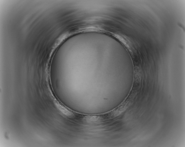 X0000097291474200802151403