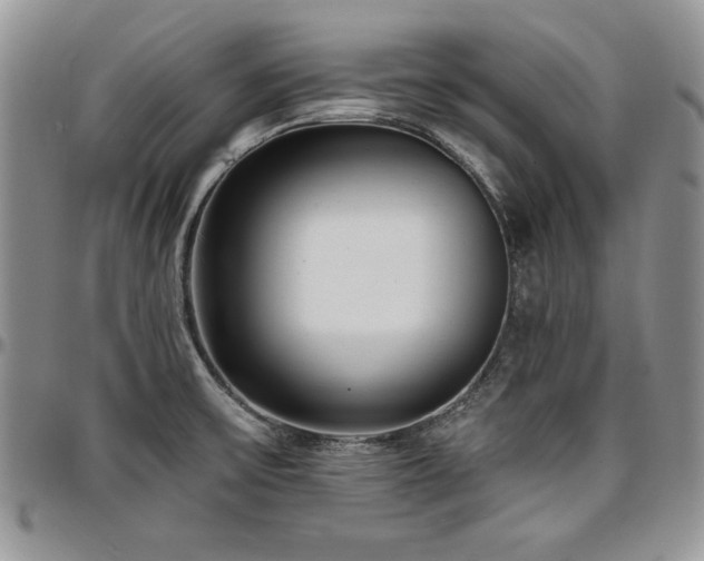 X0000097291475200802151403