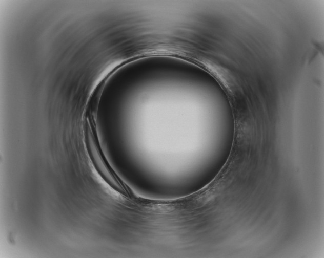 X0000097291476200802151403