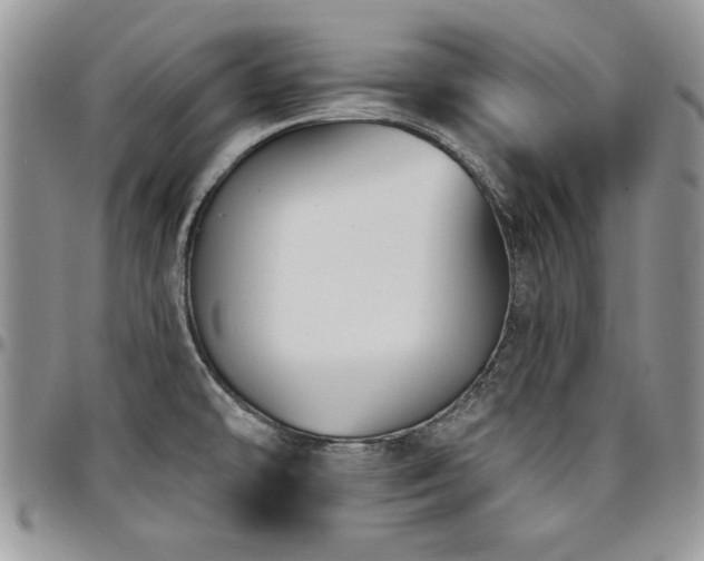 X0000097291478200802151403