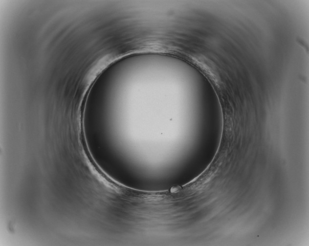 X0000097291479200802151403