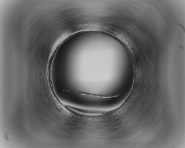 X0000097291480200802151403