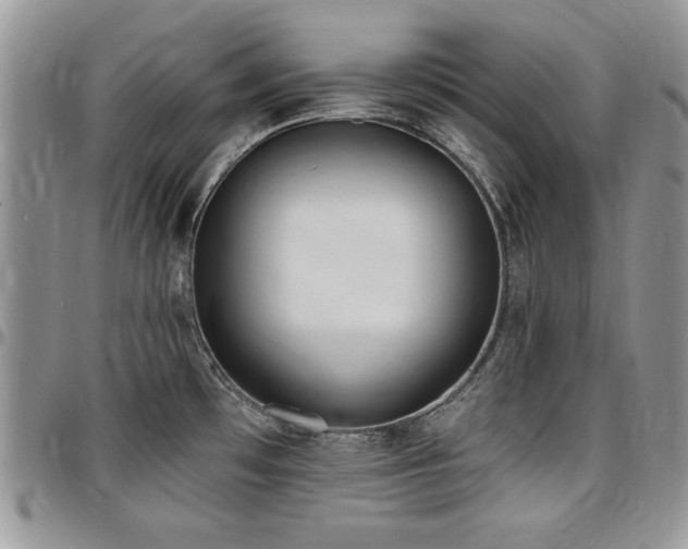 X0000097291481200802151403