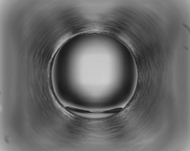 X0000097291483200802151403