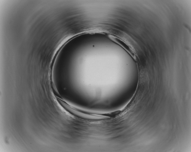 X0000097291484200802151403