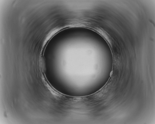 X0000097291485200802151403